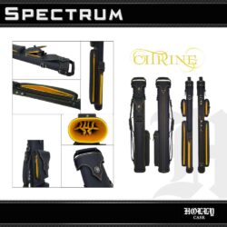 Holly Spectrum 3x5 Cue Case